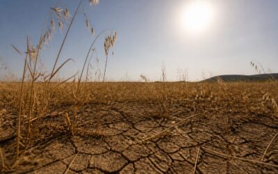 Un nou val de caniculă aduce temperaturi de până la 39 de grade la începutul lunii august