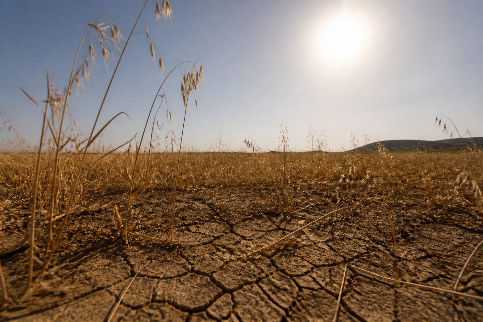 Un nou val de caniculă aduce temperaturi de până la 39 de grade la începutul lunii august