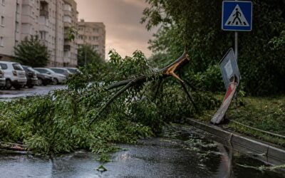 Cod portocaliu de furtuni și vânt puternic în mai multe județe din țară