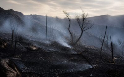 Pompierii români au stins un incendiu care amenința un cartier de locuințe și o mănăstire din Grecia