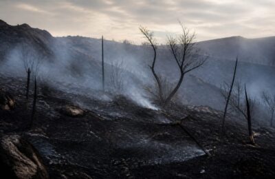 Pompierii români au stins un incendiu care amenința un cartier de locuințe și o mănăstire din Grecia
