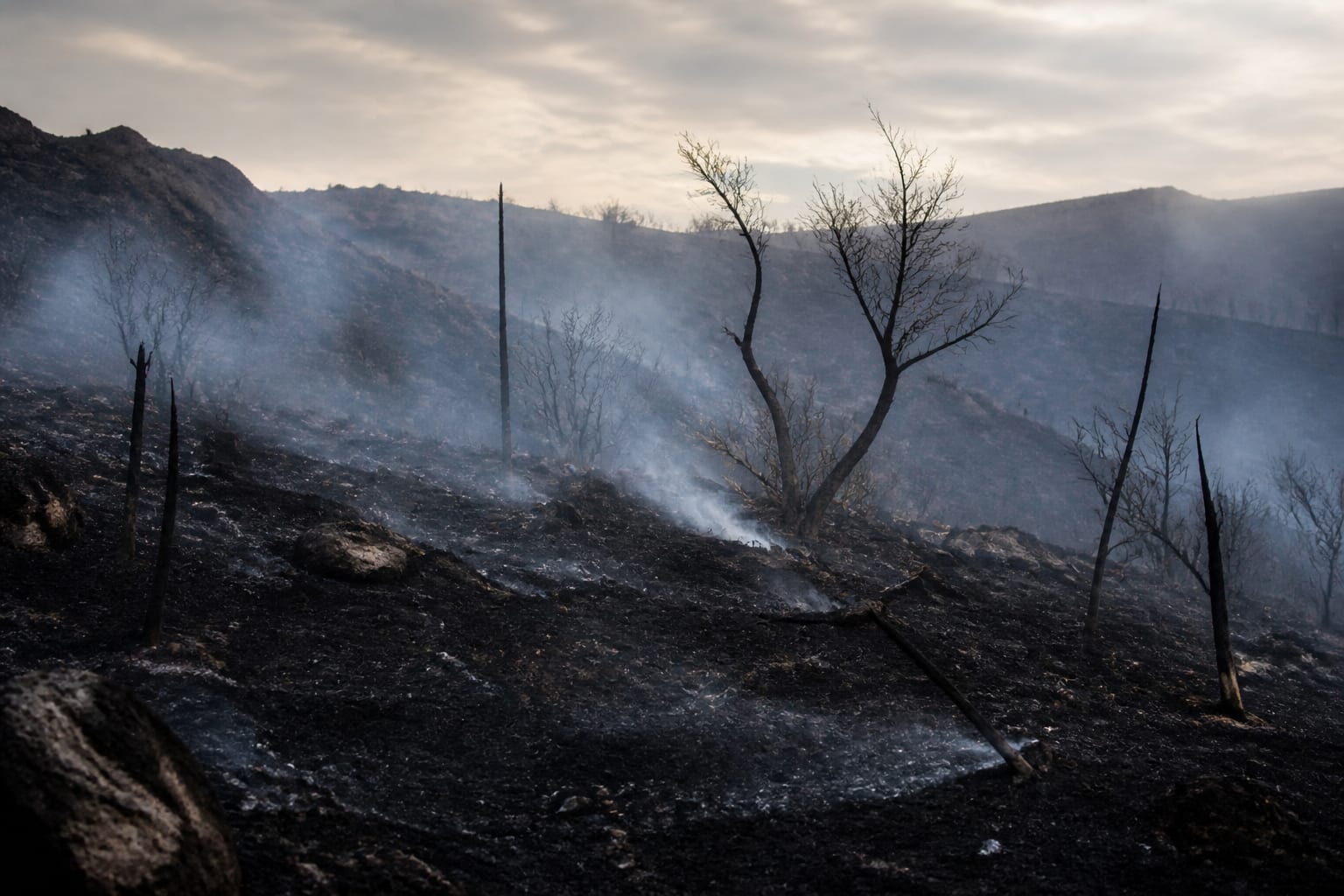Pompierii români au stins un incendiu care amenința un cartier de locuințe și o mănăstire din Grecia