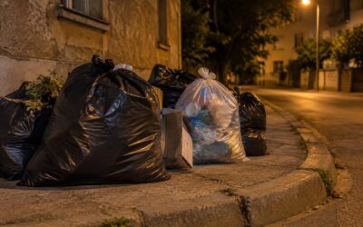 Poliția Locală Timișoara a dat amenzi de 496.500 de lei în trei luni pentru deșeuri și abateri de mediu