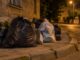 Poliția Locală Timișoara a dat amenzi de 496.500 de lei în trei luni pentru deșeuri și abateri de mediu