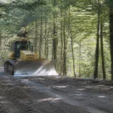 Utilaj pe un drum forestier