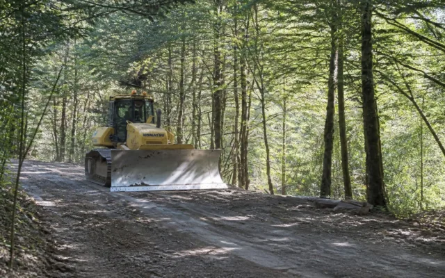 Utilaj pe un drum forestier