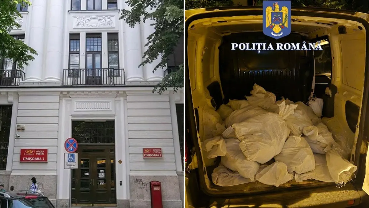 Saci cu bani furați