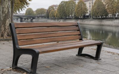Horticultura a cumpărat bănci pentru Timișoara cu 13.265 de lei peste valoarea calculată la prețul din mai