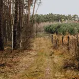 În zona Deta, 11 oameni au fost găsiți după trecerea ilegală din Serbia pe 28 octombrie