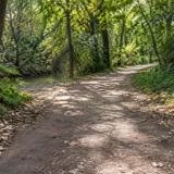 Potecă în Pădurea Verde