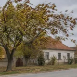 Vânt puternic în Banat