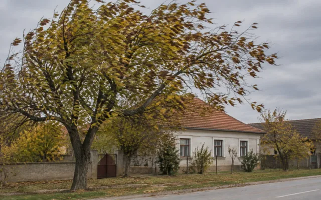 Vânt puternic în Banat