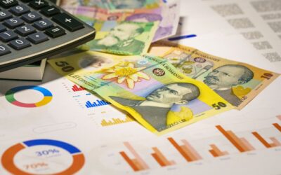 Gospodăriile din Vest au venituri medii de 9.094 de lei lunar, sub nivelul din Nord-Vest și Centru