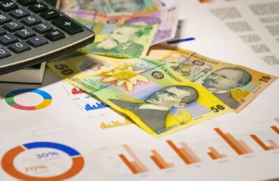 Gospodăriile din Vest au venituri medii de 9.094 de lei lunar, sub nivelul din Nord-Vest și Centru
