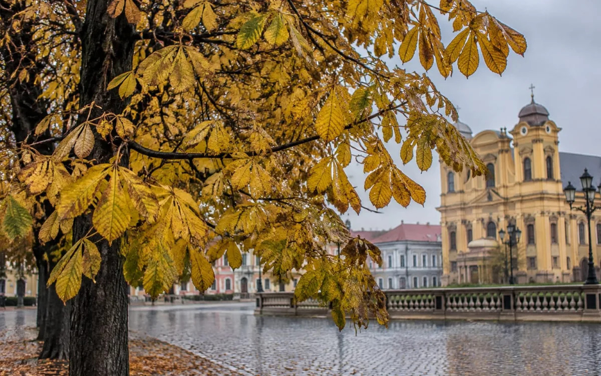 Vremea în Banat la Timișoara